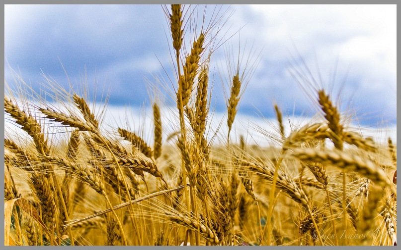 Семен Ив фотография #16