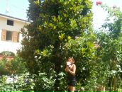 Вікторія Король фотография #8 (источник - https://vk.com/id14649228)