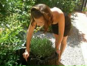 Вікторія Король фотография #6 (источник - https://vk.com/id14649228)