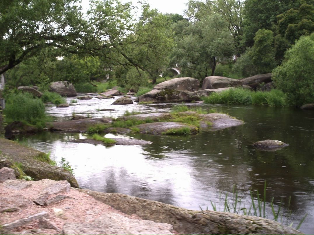 Роман Верба фотография #11