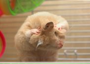 Фотография Докиной Ольги