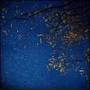 Фотография Жбановой Лилии