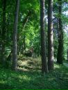 Іра Мисяк фотография #34 (источник - https://vk.com/id114718138)