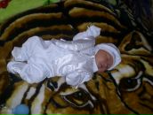 Міша Медвідь фотография #44 (источник - https://vk.com/id99853754)