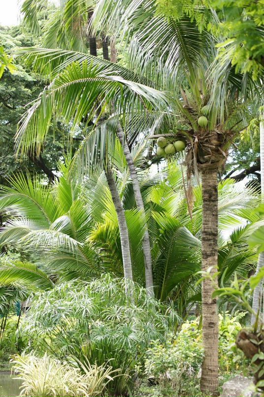 Иван Пешков фотография #32