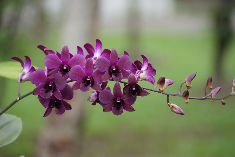 Иван Пешков фотография #5