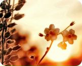 Фотография Щербаковой Юлии