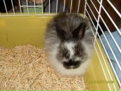 Фотография Куйбиной Ольги