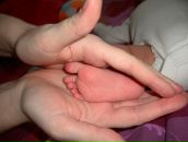 Фотография Царев Георгий