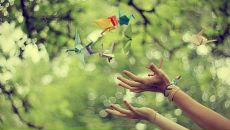 Фотография Лебединской Елены