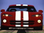 Фотография Алексеева Ирина