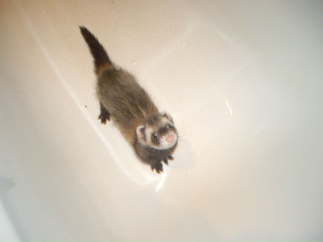 Дима Сергеевич фотография #37