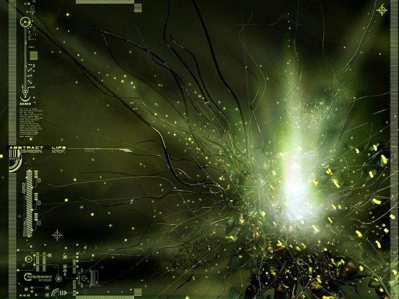 Михаил Валеев фотография #21