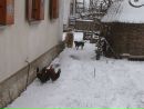 Наталія Кучер фотография #50 (источник - https://vk.com/id91867742)