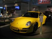 Фотография Прошутинской Юлии