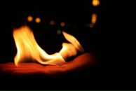 Фотография Сафонова Святослава