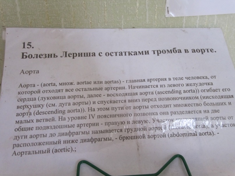 Любава Субботина фотография #28