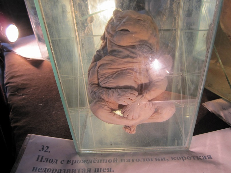 Любава Субботина фотография #13