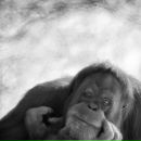 Фотография Самаркина Игоря