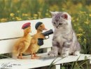 Андрій Добрусь фотография #24 (источник - https://vk.com/id75546355)