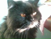 Фотография Мальцевой Юлии