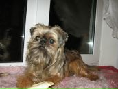 Фотография Иванова Дениса