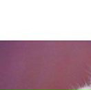 Світлана Кот фотография #18 (источник - https://vk.com/id100801727)