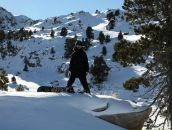 Фотография Савчук Элины