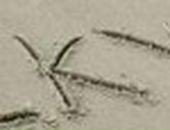 Марійка Савицька фотография #36 (источник - https://vk.com/id37940401)