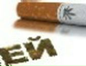 Марійка Савицька фотография #16 (источник - https://vk.com/id37940401)