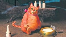 Фотография Шляхтенкова Александра