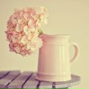 Ірина Москвитин фотография #35 (источник - https://vk.com/id53629941)