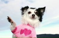 Фотография Петровой Татьяны