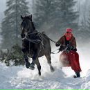 Фотография Ивакинской Анастасии