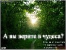 Віка Шушаріна фотография #4 (источник - https://vk.com/id64124936)