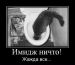  фотография #48
