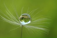 Сергій Волощук фотография #21 (источник - https://vk.com/id30494235)