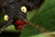 Віктор Якубовський фотография #21 (источник - https://vk.com/id8578390)