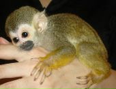 Аліса Даньків фотография #20 (источник - https://vk.com/id36520009)