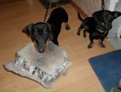 Александр Лысов фотография #27 (источник - https://vk.com/id1757321)