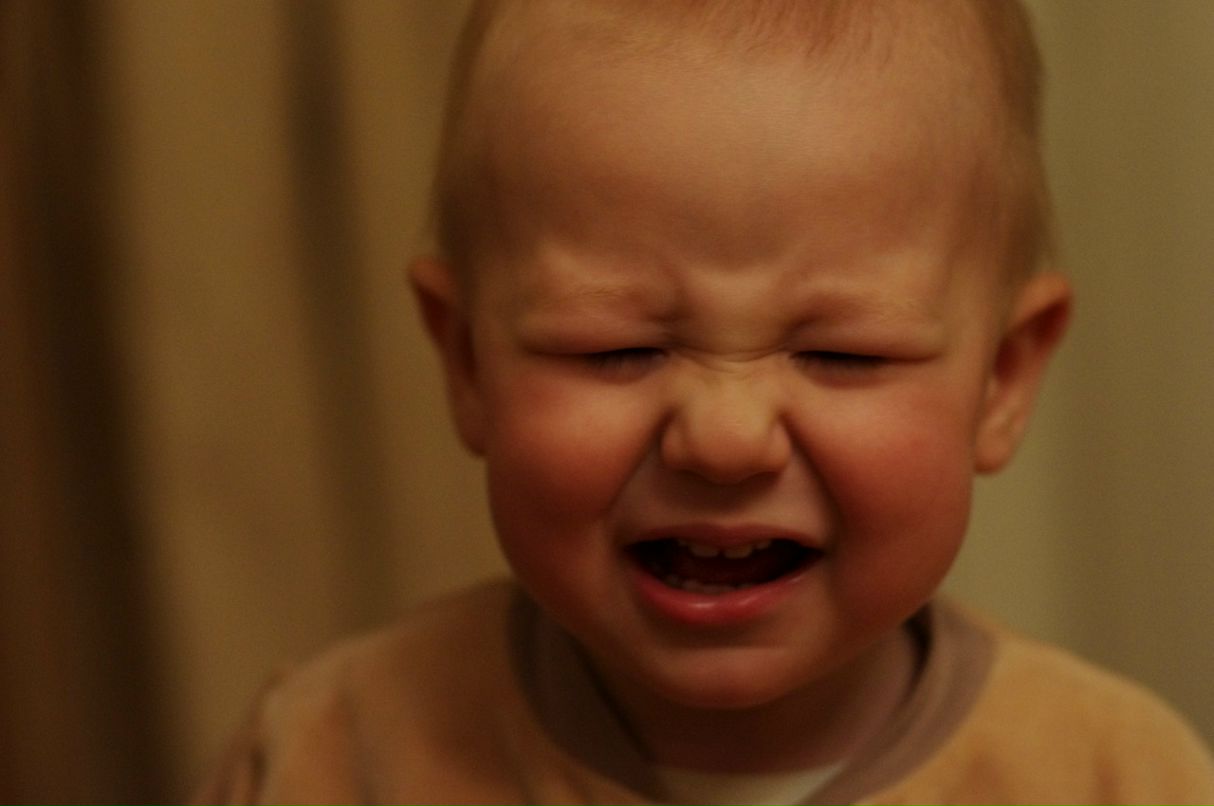 Дмитрий Алексеев фотография #16