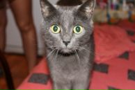 Фотография Абдуллы-Заде Анютки