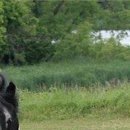 Каріно4ка♥ Шрамко фотография #45 (источник - https://vk.com/id147791993)