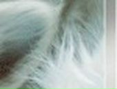 Лєра Щербина фотография #24 (источник - https://vk.com/id68521705)