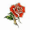 Іра Мельник фотография #11 (источник - https://vk.com/id70931156)