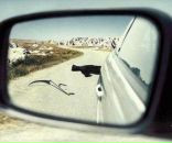 Фотография Кононенкова Олега