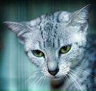 Фотография Дамаскиной Ольги