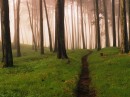 Світлана Рехман фотография #50 (источник - https://vk.com/id169088682)