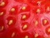 Яна Excale фотография #34 (источник - https://vk.com/id727315)