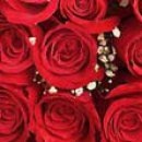 Іра Сакундяк фотография #39 (источник - https://vk.com/id35307343)